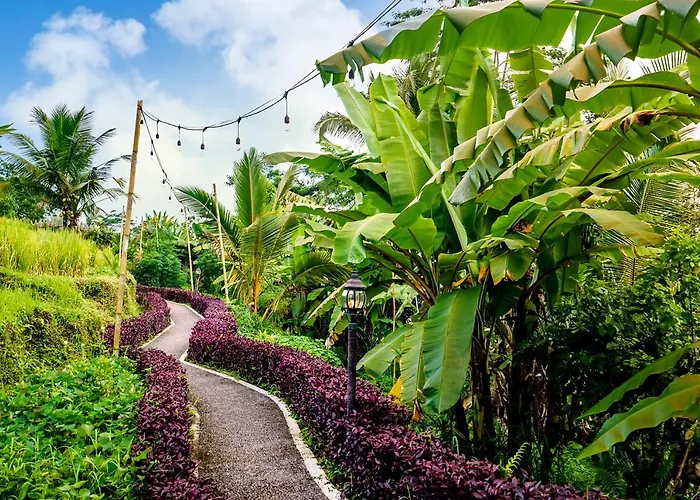 Bubble Bali Ubud - Adults Only Hotel *
