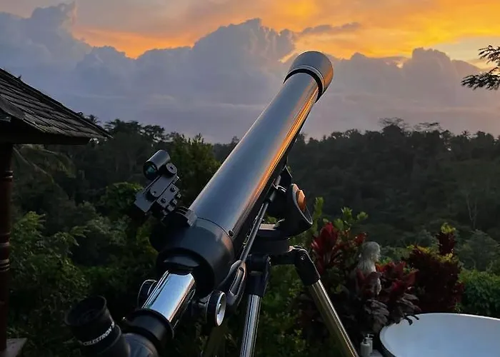 Bubble Bali Ubud - Adults Only *