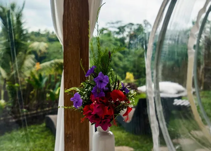 Bubble Bali Ubud - Adults Only
