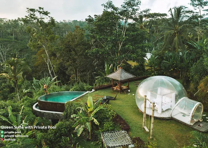 Bubble Bali Ubud - Adults Only Hotel Payangan