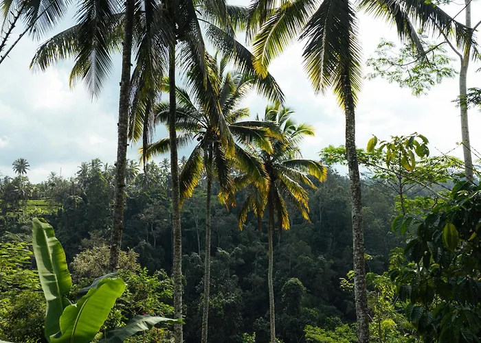 Hotel Bubble Bali Ubud - Adults Only *